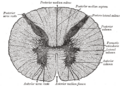 Thumbnail for version as of 17:28, 18 May 2026
