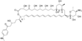 Thumbnail for version as of 15:41, 25 May 2026