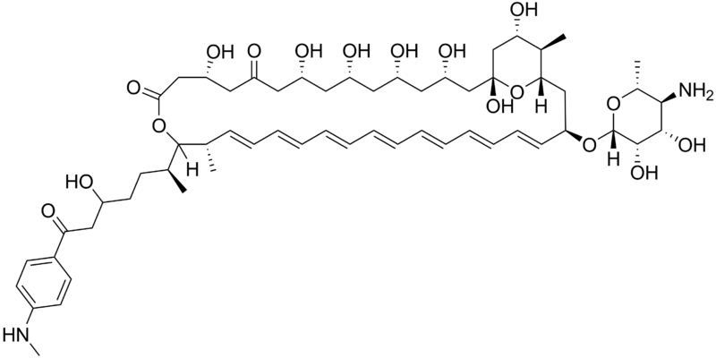 File:Perimycin A.png