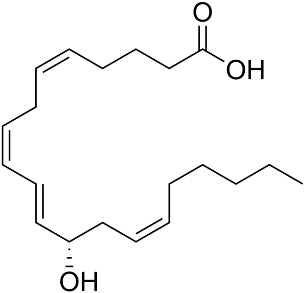File:12-Hydroxyeicosatetraenoic acid.png