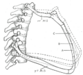 Thumbnail for version as of 17:28, 18 May 2026