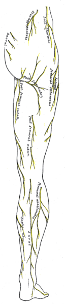 File:Gray830.png