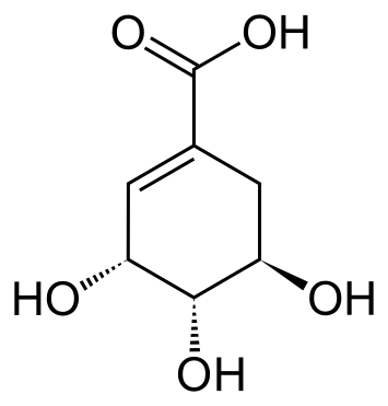 File:Shikimi.svg