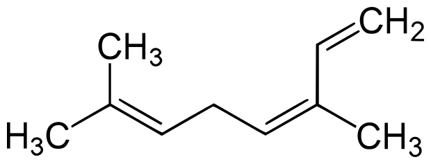 File:(Z)-beta-Ocimene.svg