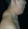 Thumbnail for version as of 03:23, 5 June 2026