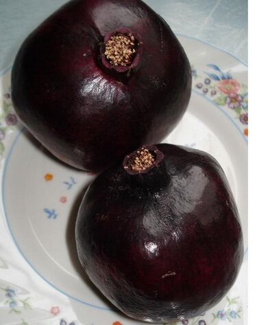 File:Black Pomegranate.JPG