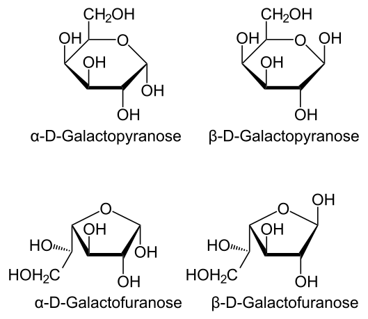 File:D-Galactose Haworth.svg