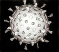 Thumbnail for version as of 03:20, 5 June 2026