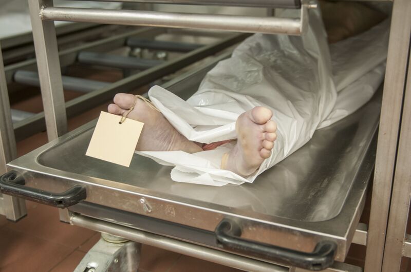 File:13-11-12-rechtsmedizin-berlin-charite-by-RalfR-20.jpg
