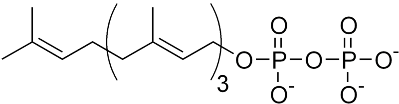File:Geranylgeranyl pyrophosphate.png