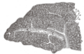 Thumbnail for version as of 17:27, 18 May 2026