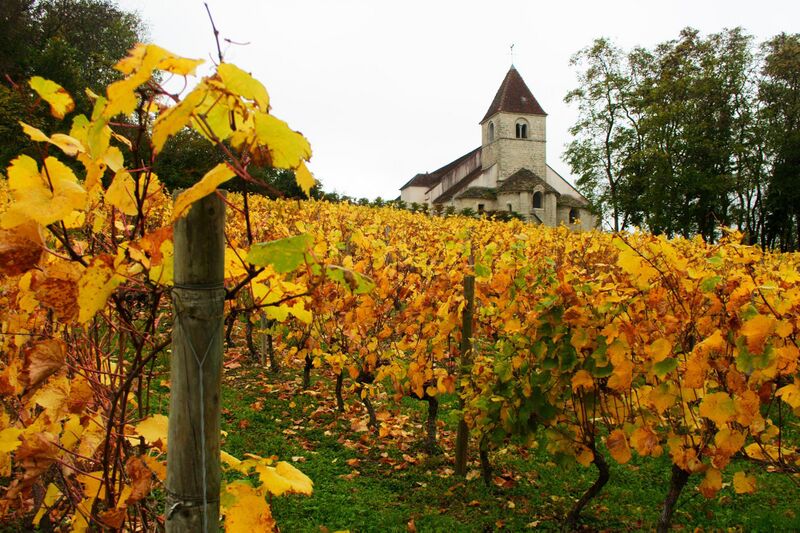 File:Vergy-vignes.jpg