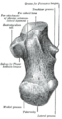 Thumbnail for version as of 17:28, 18 May 2026