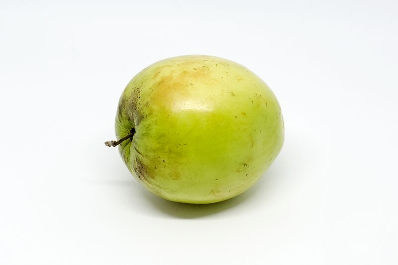 File:Indian jujube (fruit).jpg