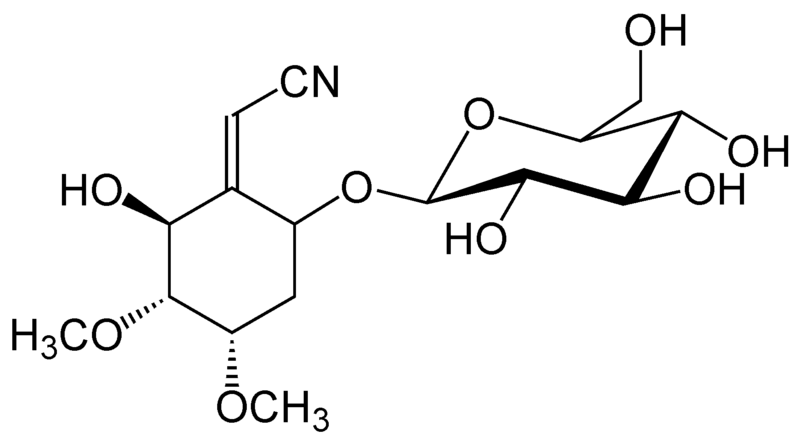 File:Simmondsin.png