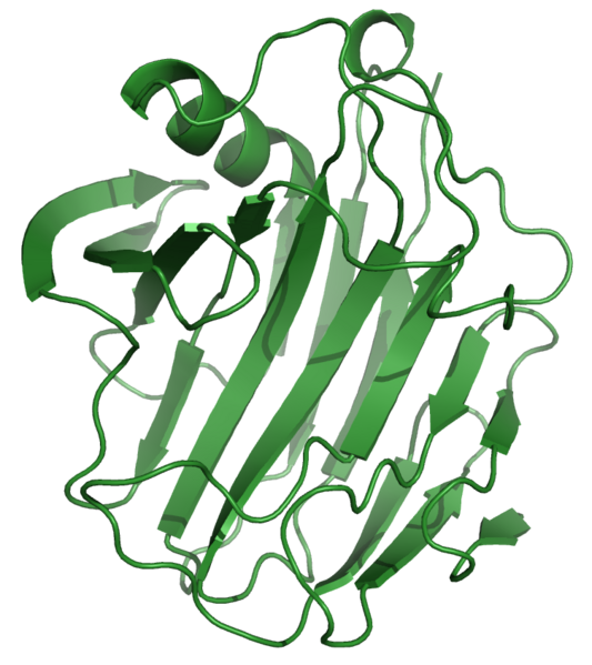 File:1NLRribbon.png