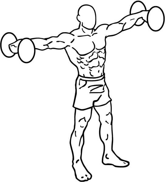 File:Dumbbell-lateral-raises-1.png