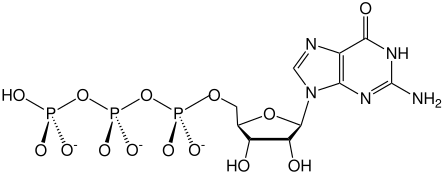 File:GTPtrianion.svg