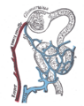 Thumbnail for version as of 17:28, 18 May 2026
