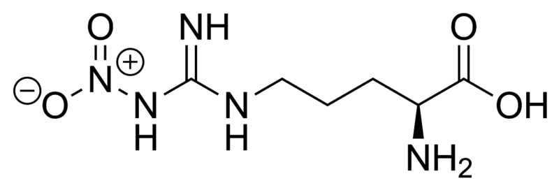 File:Nitroarginine.png