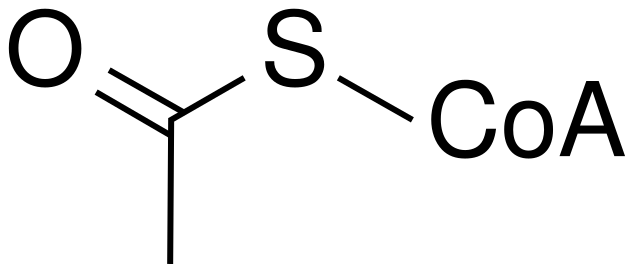 File:Acetyl co-A wpmp.svg