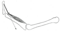 Thumbnail for version as of 17:27, 18 May 2026