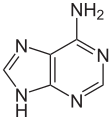 Adenine structure