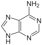 File:Adenin.svg