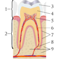 Thumbnail for version as of 03:30, 5 June 2026