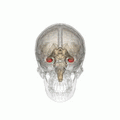 Thumbnail for version as of 03:22, 5 June 2026