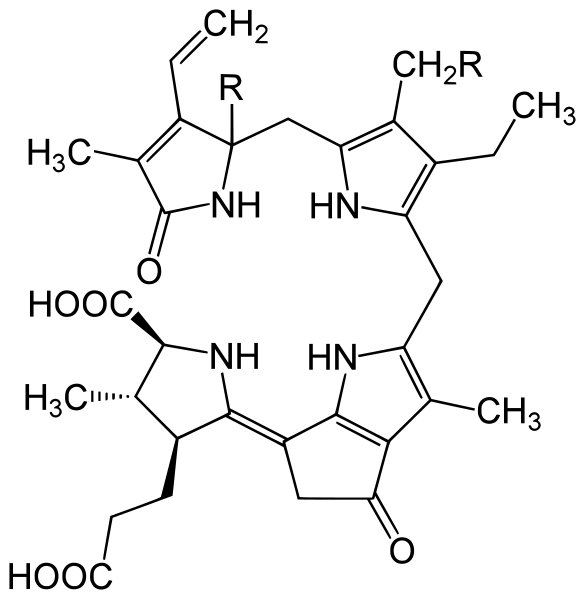 File:Luciferin dinoflagellate.svg