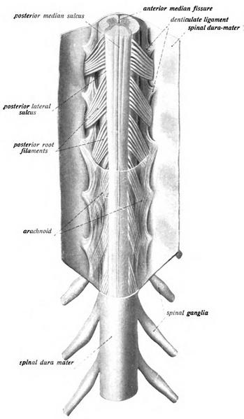 File:Sobo 1909 611.png